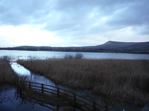 View from Bird Hide on Lake Llangorse SWC Walk 308 - Bwlch Circular (via Mynydd Troed and Llangorse Lake)