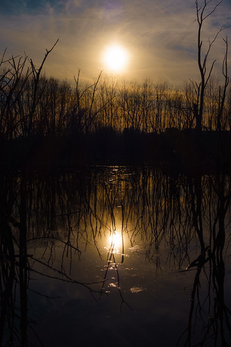 kalamazoocounty michigan portage us unitedstates outdoor wetland sunset goldenhour hdr reflection