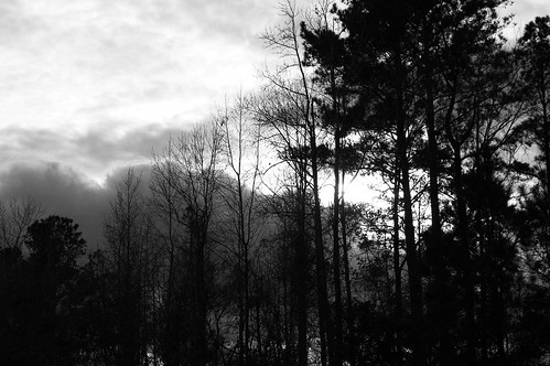 lumberton nc northcarolina robesoncounty outdoors outside nature natural sky clouds tree trees winter january mondayafternoon afternoon monday cloud cloudformation bw blackandwhite blackwhite nikon d40 dslr