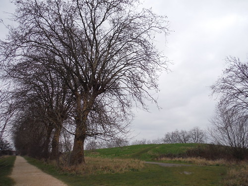 Ex-Hospital Site, Beam Parklands SWC Short Walk 33 - Dagenham Parks, Rivers and Ponds