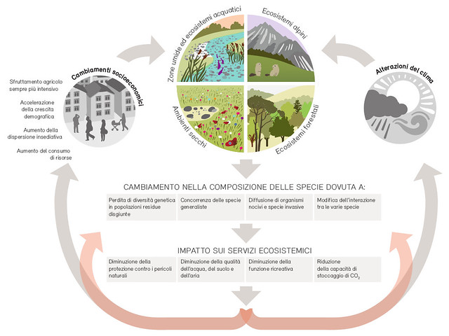 Impatto sulla biodiversità / Impacts on biodiversity