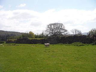 Wall Remnants of Y Gaer (Cicucium Roman Fort) SWC Walk 306 - Brecon Circular (via Y Gaer, Battle and Pen-y-crug)