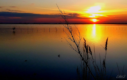 ___ attimi di poesia! ___ by erman_53fotoclik, <a href="http://www.flickriver.com/photos/dstrnn53/" rel="nofollow">www.flickriver.com/photos/dstrnn