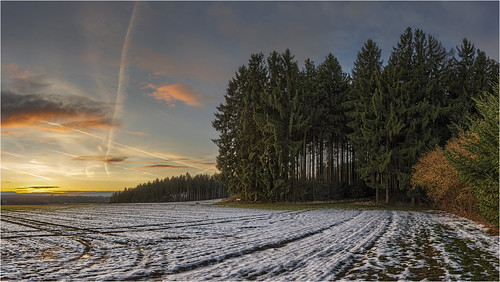 deutschland germany bayern bavaria stauden buschelberg landscape forest trees sunrise snow sky clouds colors canoneos