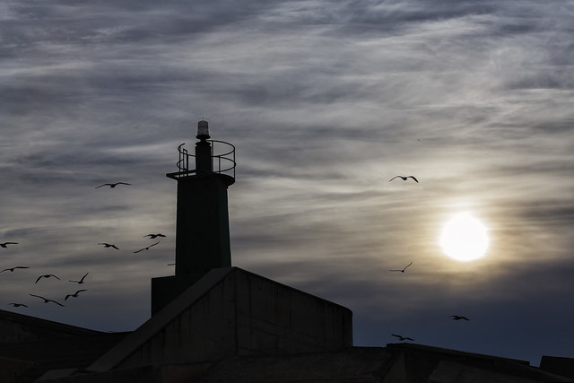 The lighthouse and the seagulls