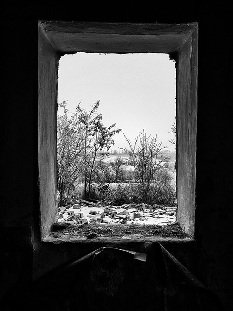 View from the past  #Ukraine #winter #snow #cold #trees #house #window #bricks #old #abandoned #past #future #horizon #streetphotography #blackandwhite #bw #bnw #mobilephotography #mobilephoto #s7edge