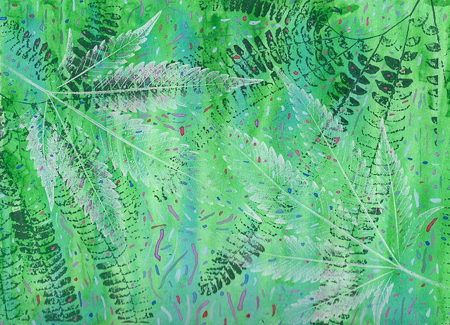Maidenhair Ferns And Cannabis - 2015