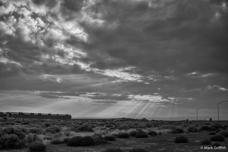 Rest Stop Rays