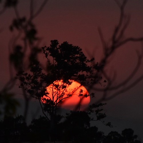 That ball of fire | by Carlos Carazo Photography