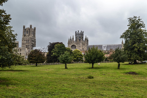 ely cathedral church meadow field clouds cloudy grey sky contrast light landmark english heritage architecture building gothic style structure view perspective angle composition travel traveling traveler travelling traveller wanderlust discover discovering discovery explore exploration exploring green meadows tree trees fall autumn rainy day storm stormy nikon nikond3100 d3100 dslr camera 1855mm lens england britain greatbritain uk unitedkingdom city country town