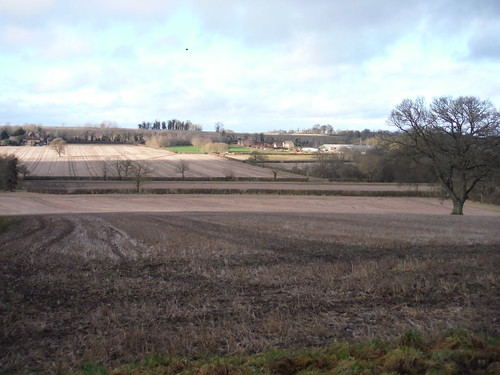 Fieldscape, Woodeaton Wood 
