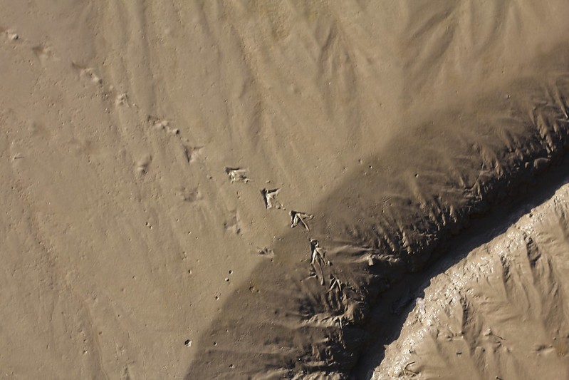 Avon footprints