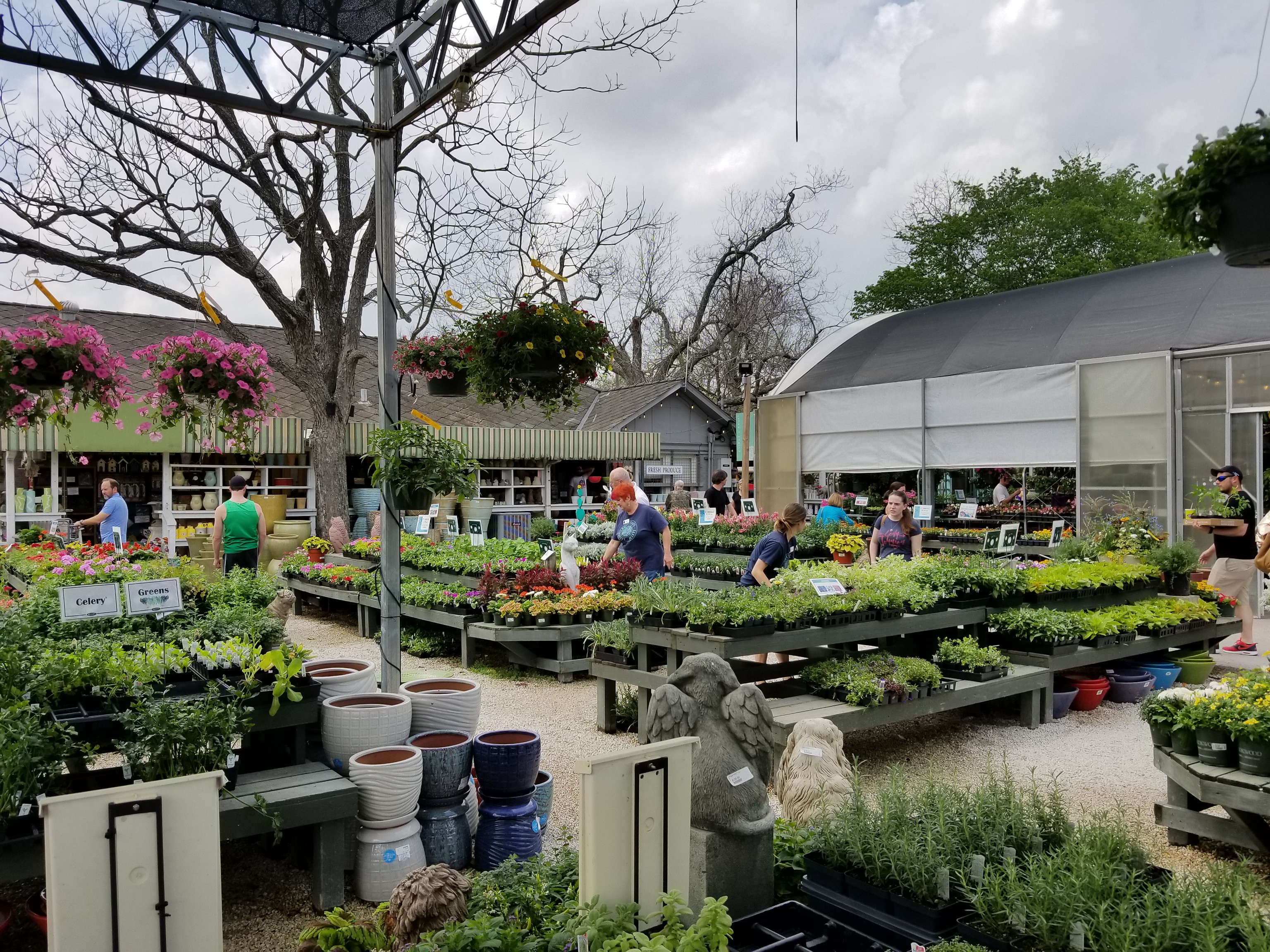 Rows Of Plants For Sale At Buchanan's Native Plant Nursery In Houston, Texas