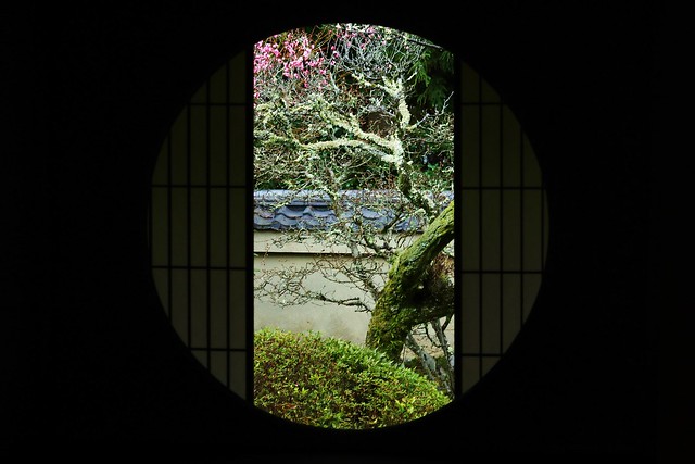 The Window of Enlightenment  / 京都 泉涌寺雲龍院 悟りの窓  Kyoto  Unryu-in