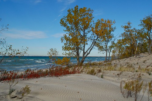 Fall at Sandbanks | by dunescape
