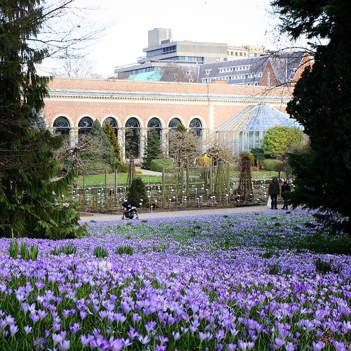 Early spring in the botanical garden of Leuven