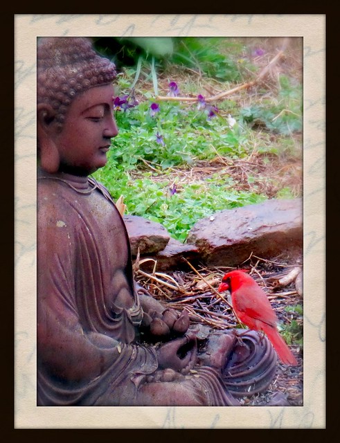 IMG_buddha and the redbird