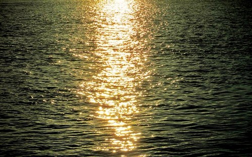 Riverview Sunset! ' #nature #water #wave #reflection #pattern #dark #river #abstract #outdoors #sun #shining #bright #dawn by AyonSaha, nature dawn river dark pattern shining abstract wave sun outdoors reflection bright water