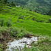 33209-013: Community-Managed Irrigated Agriculture Sector Project in Nepal.