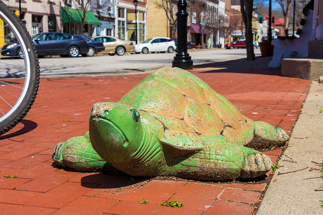 Sidewalk Turtle