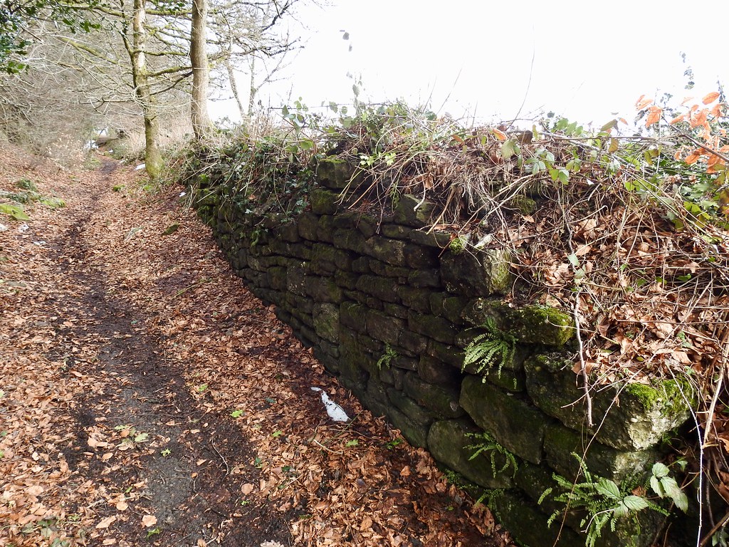 Dry Stone Wall, Pilgrims’ Way, Thornhill, Cwmbran 9 March 2018