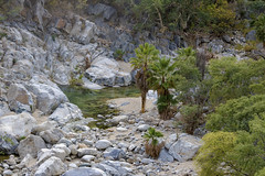 top of the fox canyon waterfall