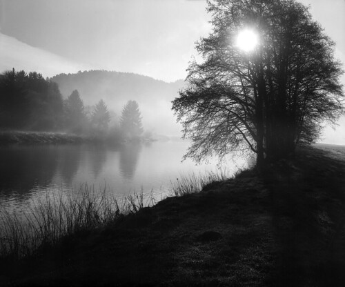 sun sonne sunrise sonnenaufgang mist fog nebel dunst flus river trees baum bäume bw film schwarzweis grosformat largeformat 4x5 linhof schneiderkreuznach symmars ilford moersch ecofilmdeveloper hugin gimp sp445 fp4