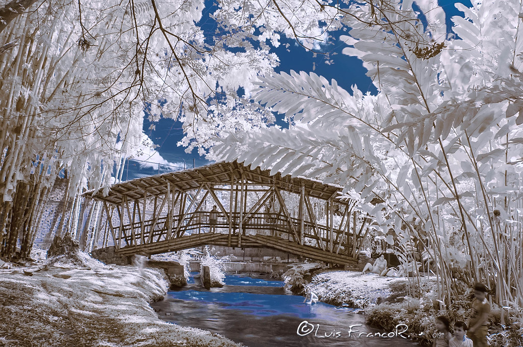 pequeño puente de madera - small wooden bridge Infrared view_720nm