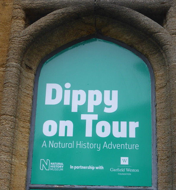 Dippy on Tour