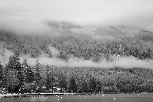 lake fog overcast mount kidd winter morning cultus british columbia canada black white monochromatic clouds snow