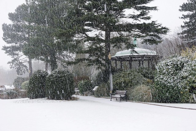Snowy day at the River Gardens.