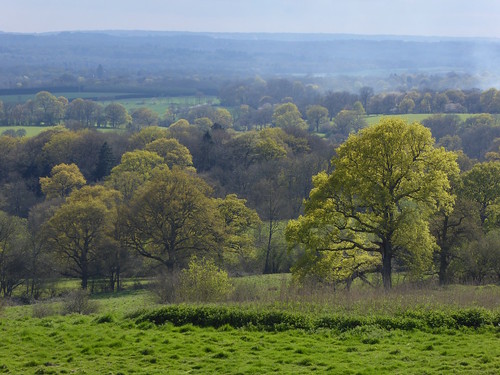 Escarpment view Sevenoaks Circular walk