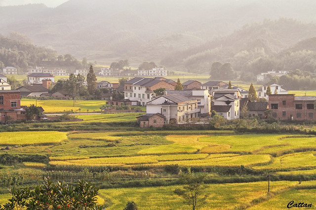 Wugongshan valley, China