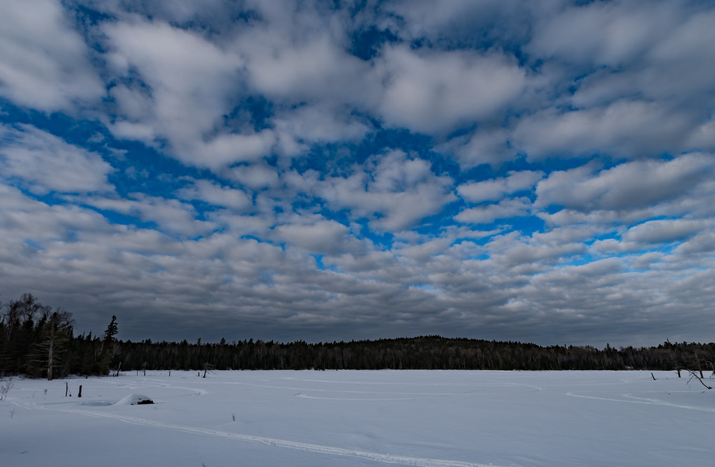 Moose Viewing Pond