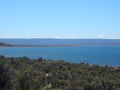 miena greatlake lake bush geography shores range