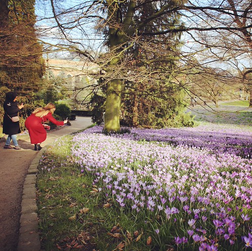 Early spring in the botanical garden of Leuven