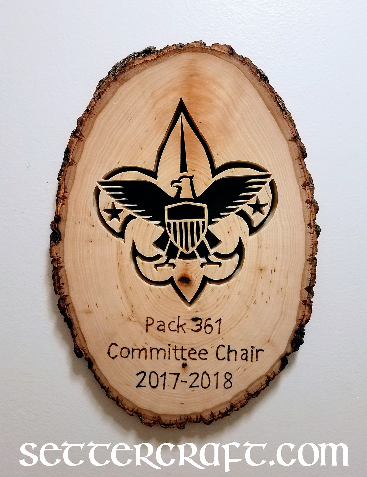 Handmade Cub Scout plaque