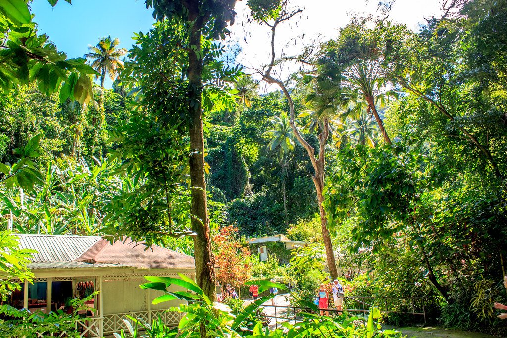 St Lucia Diamond Botanical Gardens 24 Jpg Johnmburgess Flickr