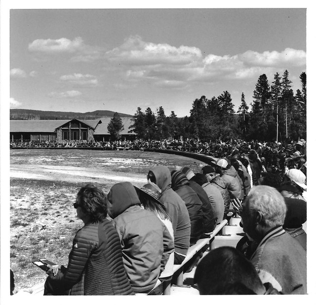 Crowd Waiting for Old Faithful, print 8x8