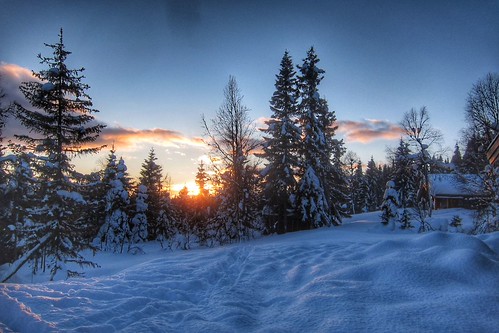 Norway cc skiing | by ndall
