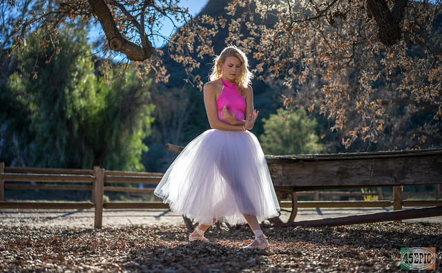Sony A7 R & Sonnar T* FE 55mm f/1.8 ZA Lens! High Res Fine Art Ballerina Dancing Classical Ballet in Pointe Shoes Slippers Leotard Tutu! Golden Ratio Photography! Athletic Action Portraits of Professional Ballerina Model! Carl Zeiss! Malibu Landscape Art!