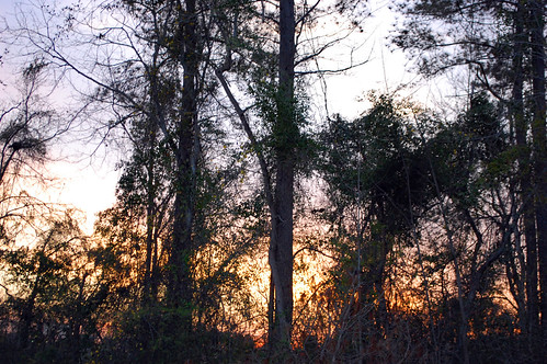 Evening Scene. by dccradio, Evening sky as the sun began to set behind the apartment complex where my wife and I live.lumberton