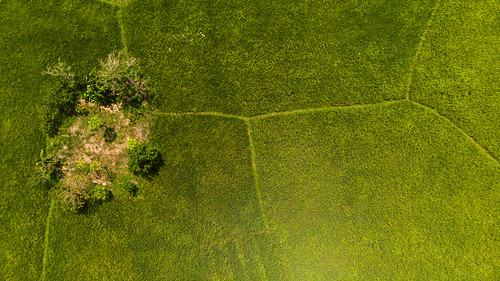 green field laguna nature land air