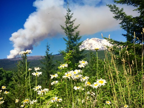summer west unitedstates pacificnorthwest pct wilderness pnw wildfire heatwave mountadams 2015 horseshoefire