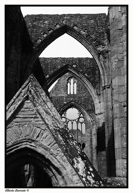 Tintern Abbey - Wales