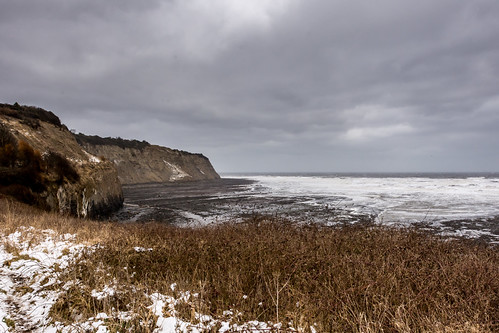 Beast Looking East | by mikecopestake555