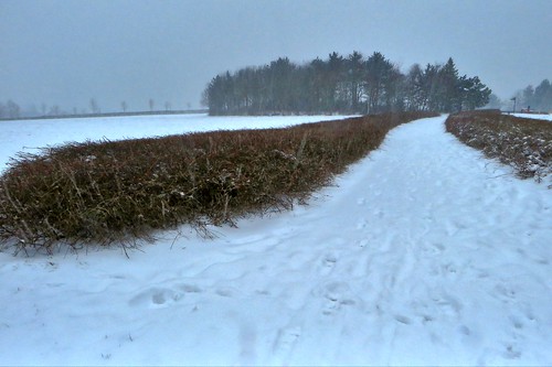 canon powershot sx280 buckinghamshire miltonkeynes furzton mkffurzton snow path hedge footprint