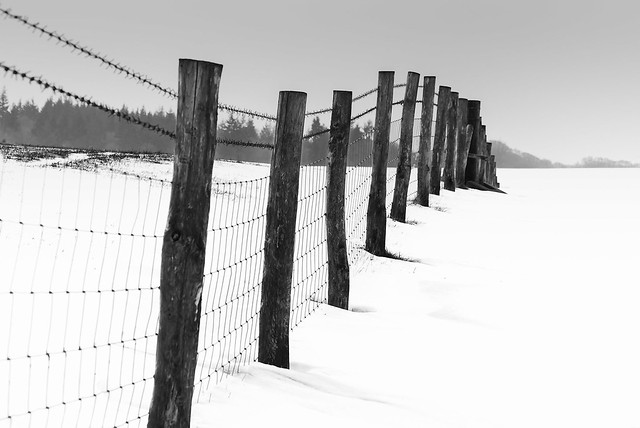 vanishing fence