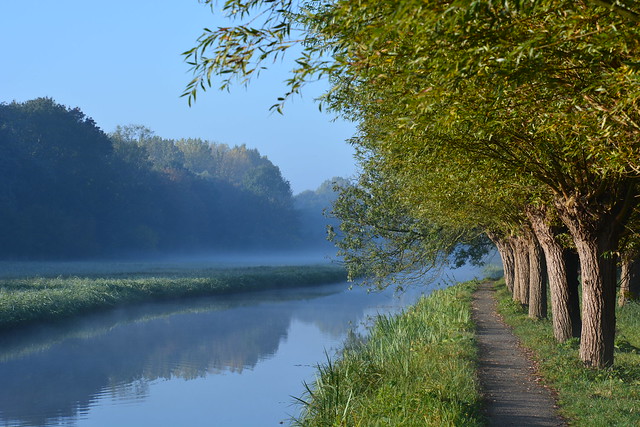 autumn morning in holland
