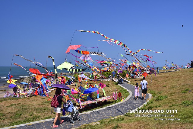 新北市國際風箏節,自由自在,天空,翱翔,飛翔,海,水,沙灘,風箏
